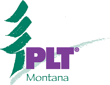 MT PLT logo